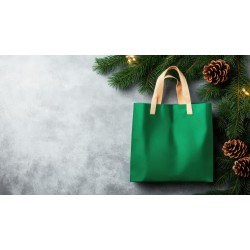 Green Gift Bag